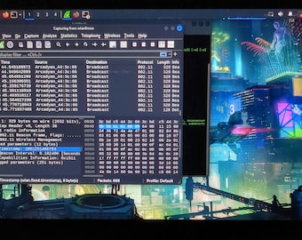 Kali Linux Installation 64GB USBSTICK – OSINT/Cybersecurity: Intel/AMD 64-bit *Only)
