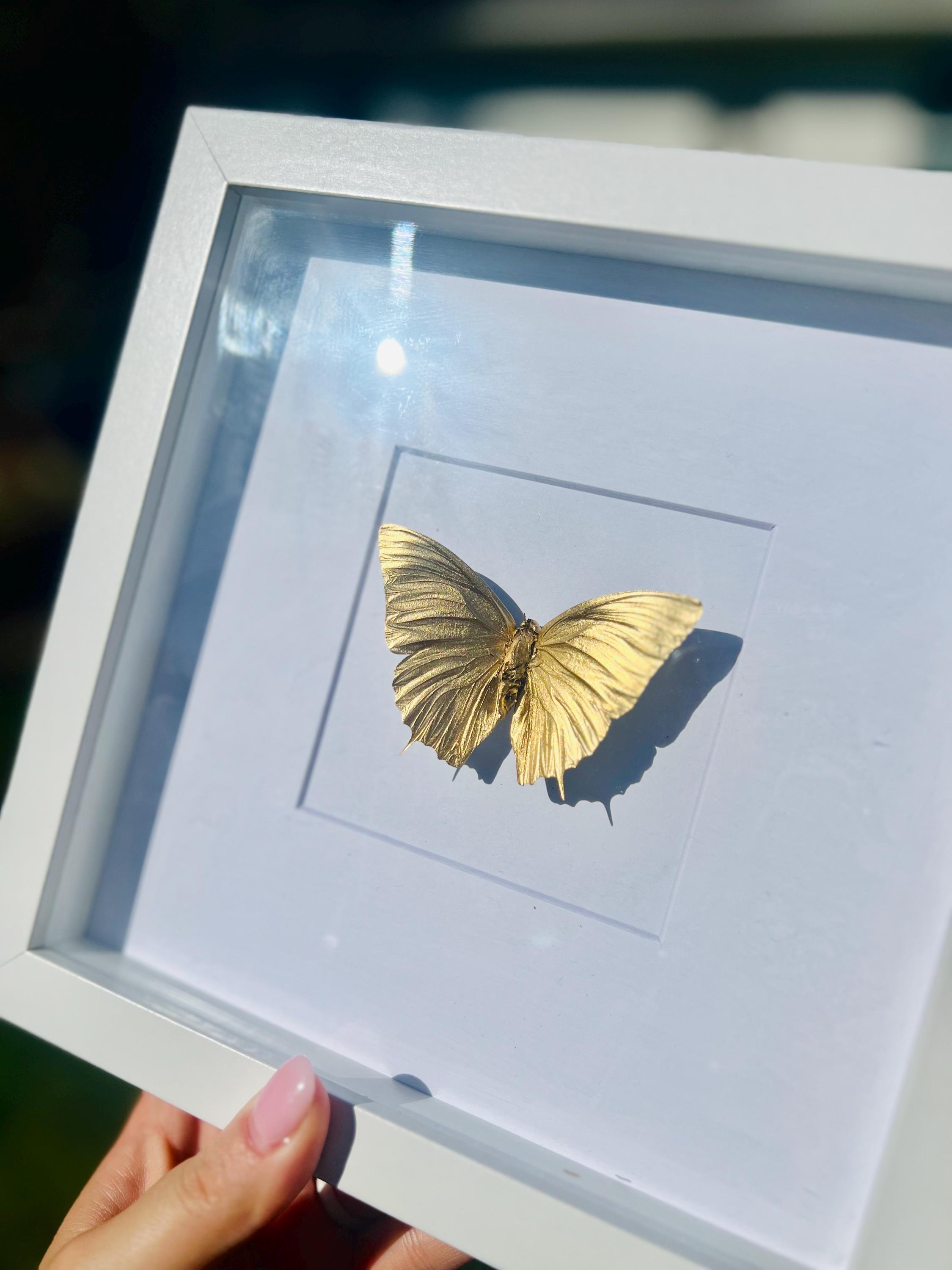 Framed Butterfly Painting main image 0