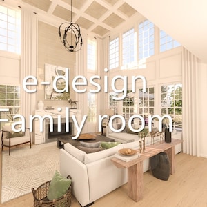 Interior Design Family Room Living Room e-design service