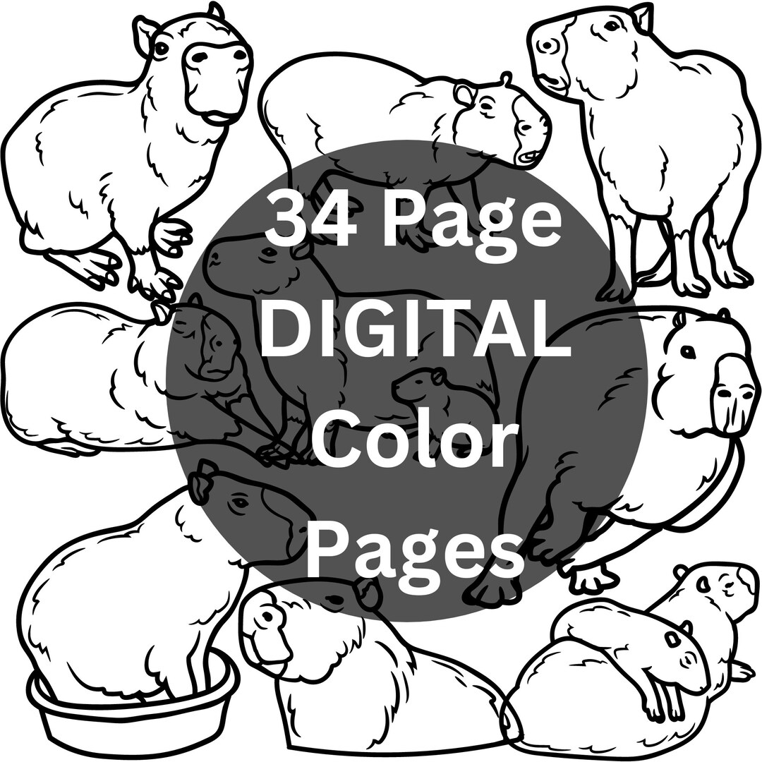 Capybara Capy Cute Capybara Capybara Coloring Pages - Etsy
