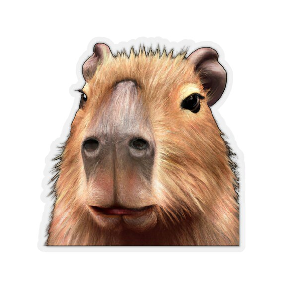 Capybara kawaii stickers. 10 png stickers design