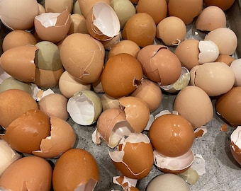 1 Pound (16 oz)  Free Range  Rough Crushed Egg Shells