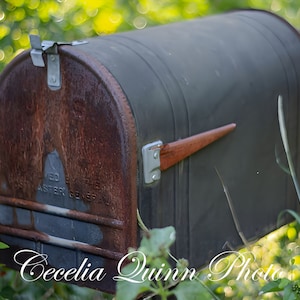 Rustikaler Briefkasten | Cecelia Quinn Foto