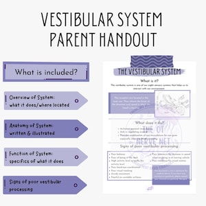 May include: A purple and white handout titled "Vestibular System Parent Handout" with a diagram of the inner ear and text explaining the vestibular system. The handout includes information about the overview, anatomy, function, and signs of poor vestibular processing.