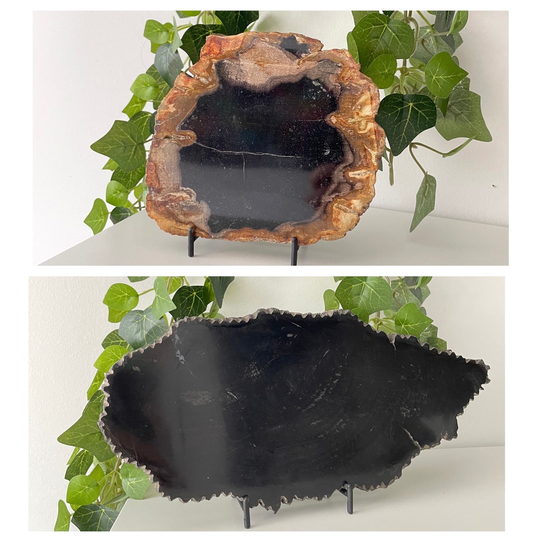 Petrified Wood Petrified Wood Slab Slabs of Petrified Wood Black