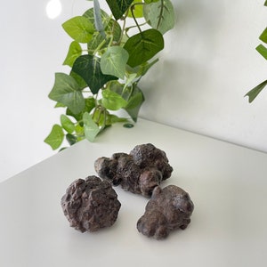 May include: Three dark brown, rough, and irregularly shaped stones. The stones are clustered together on a white surface.