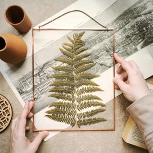 Pressed Fern in Copper Floating Frame – Botanical Wall Art, Herbarium Decor, Nature Lover Gift, Real Leaf Minimalist Frame