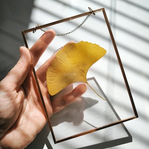 May include: A gold-toned metal frame with a clear glass panel holds a pressed yellow ginkgo leaf. The frame hangs from a thin silver chain.