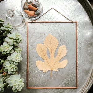 Ecoes of Eden – Gepresstes Feigenblatt im Kupferrahmen, Herbarium Wandkunst, natürliches Dekor, botanisches Geschenk, symbolische Wandkunst für Naturliebhaber