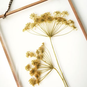 May include: A framed botanical art piece featuring dried, yellow-green flowers. The flowers are pressed between clear glass, set within a copper-colored metal frame, and suspended by a chain. The background is white.