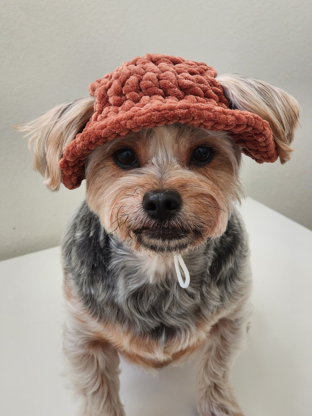 Soft Dog Bucket Hat Dog Bucket Hat Handmade Dog Bucket Hat Dog Hat Etsy
