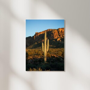Golden Saguaro Poster | Fine Art Druck