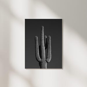 Black and White Saguaro Poster | Fine Art Druck