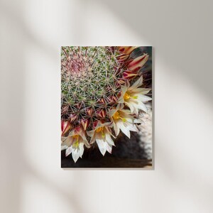 Globus Kaktus Poster | Fine Art Druck