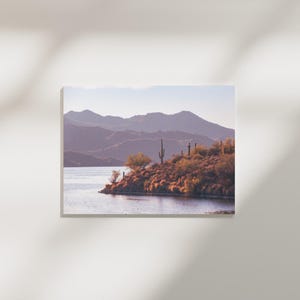 Saguaro See Poster | Fine Art Druck