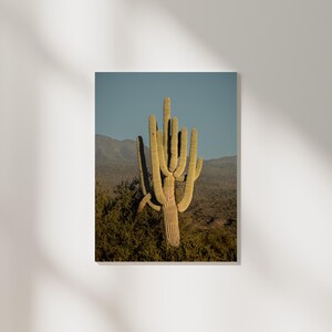 Saguaro Portrait Poster | Fine Art Druck