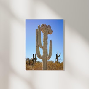 Crested Saguaro Poster | Fine Art Druck