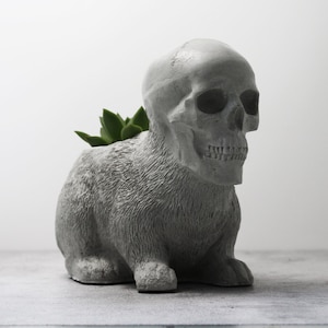 May include: A grey concrete planter shaped like a rabbit with a skull for a head. The planter has a small succulent plant growing inside.
