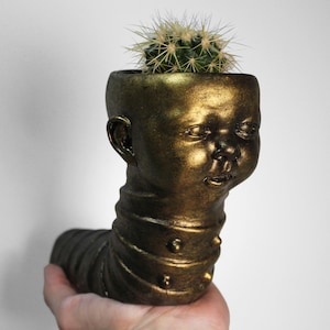 May include: Gold-painted ceramic planter shaped like a baby's head with a cactus plant growing inside.