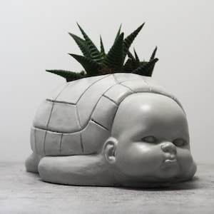 Turtle Baby: la maceta original y fea. Hormigón, divertida, espeluznante, fea, de muñeca, bizarra, con forma de cabeza, rara, de escritorio, de terror y gótica.