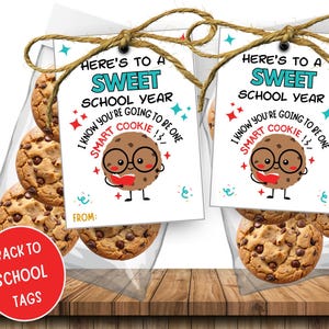 以下が含まれることがあります： チョコレートチップクッキーが入った2つの透明なセロハンバッグ。それぞれひもとタグで結ばれています。タグには「Here's to a Sweet School Year」と書かれており、漫画のクッキーのキャラクターが描かれています。