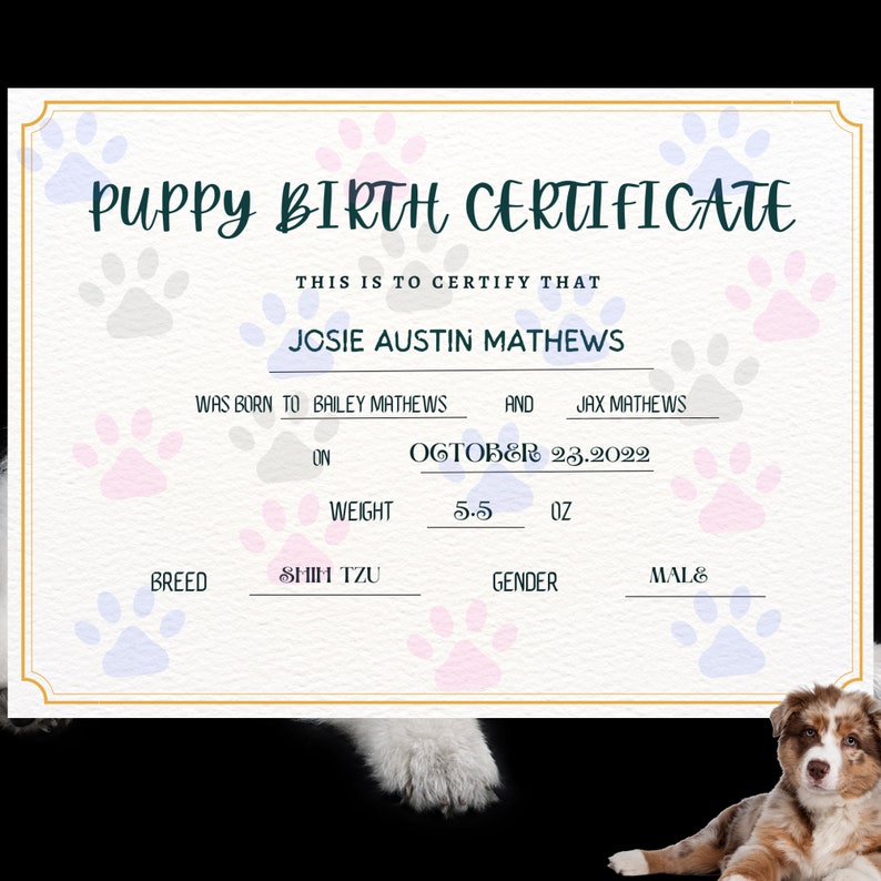 Puppy Birth Certificate Editable Dog Certificate Template Etsy Puppy Birth Certificate Editable Dog Certificate Template Etsy