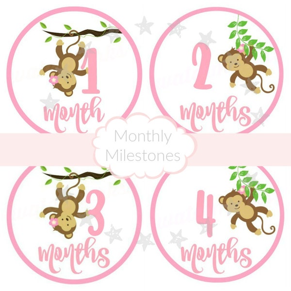 Monthly Baby Stickers, Printable Monthly Milestones, Monkey Baby Shower, Girl Baby Monthly Iron Ons, DIY Files