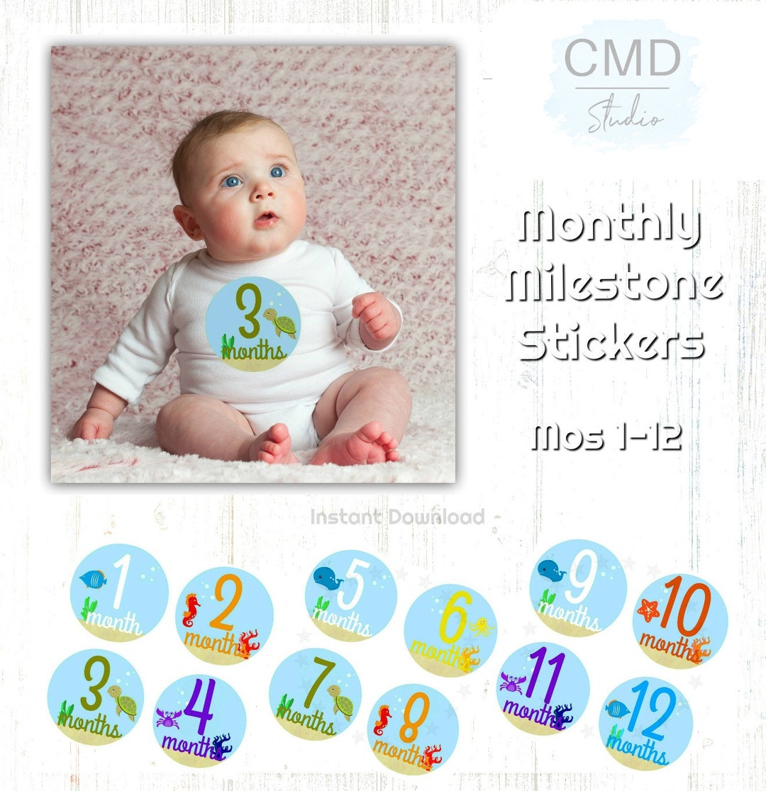 Printable Monthly Baby Stickers, Monthly Milestones, Baby Shower, Boy ...