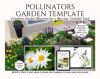 Pollinator Garden Design for Zone 6–7 with Native Wildflowers | Low Maintenance Cottage Landscape Plan with Prairie Perennials Blueprint
