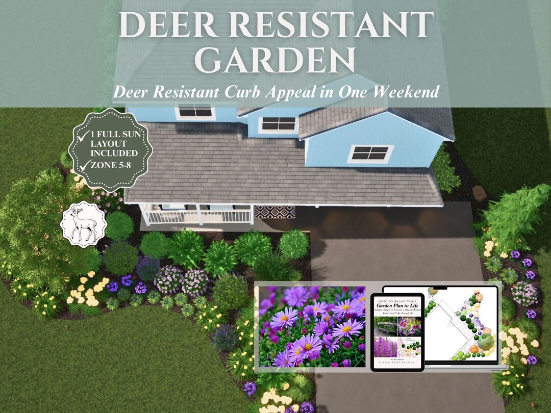 Front Yard Design Landscape Plan Full Sun Garden Layout Deer Resistant ...