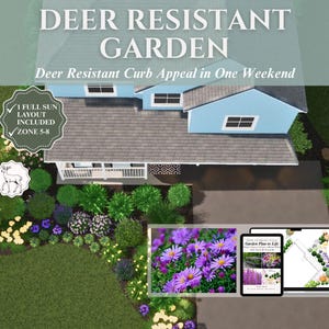 Front Yard Design Landscape Plan Full Sun Garden Layout Deer Resistant Landscape Design Zones Five Through Eight Garden Blueprint Yard Ideas