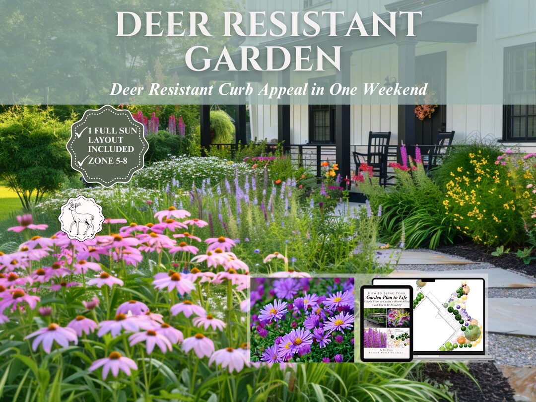 Front Yard Design Landscape Plan Full Sun Garden Layout Deer Resistant ...