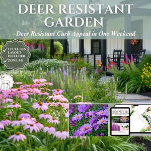 Front Yard Design Landscape Plan Full Sun Garden Layout Deer Resistant ...