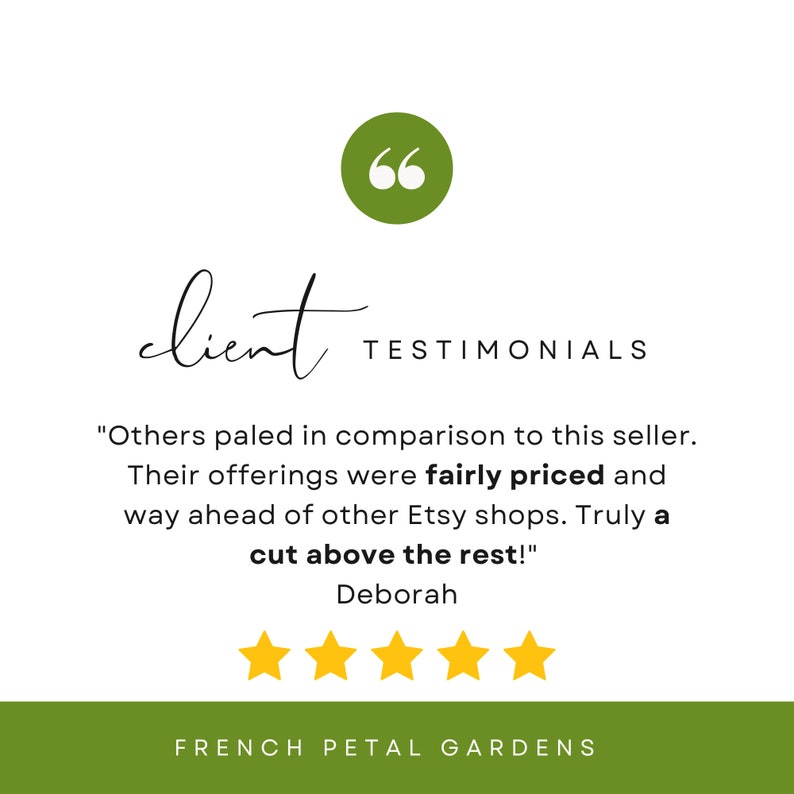 Full Sun Perennial Garden Template Lowmaintenance DIY Landscape Design