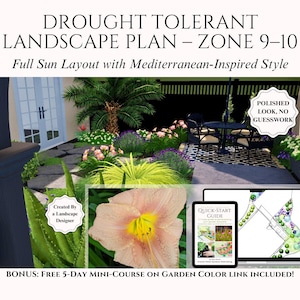 Drought Tolerant Backyard Landscape Plan Zone 9–10 Xeriscape Template | Full Sun Low Maintenance Perennials Plant by Number Mediterranean