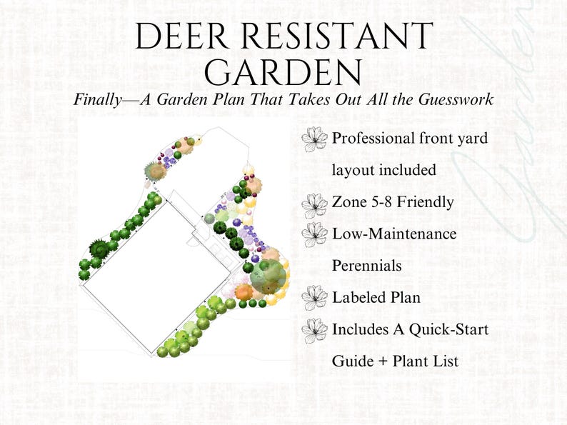 Front Yard Design Landscape Plan Full Sun Garden Layout Deer Resistant ...