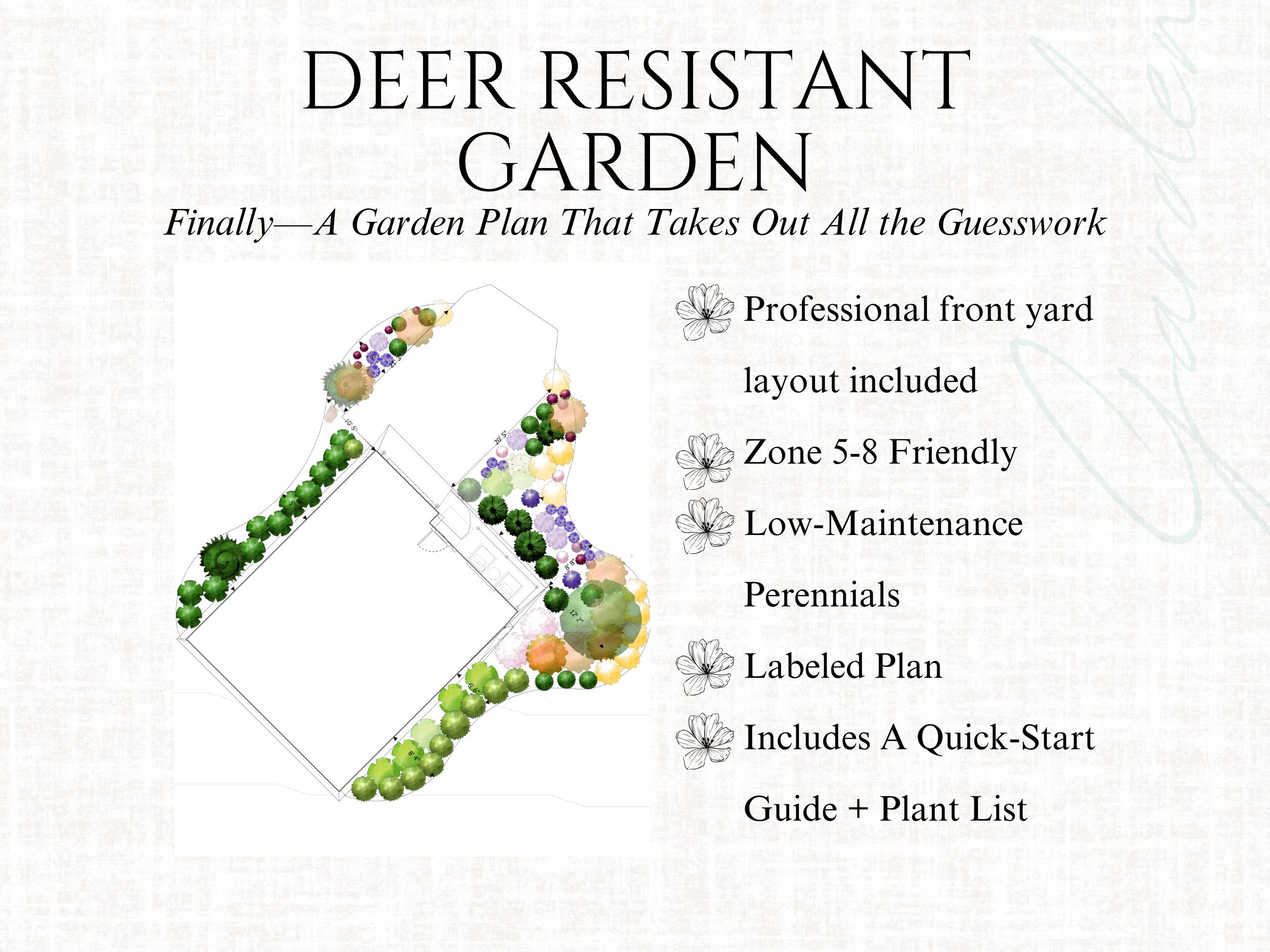 Front Yard Design Landscape Plan Full Sun Garden Layout Deer Resistant ...