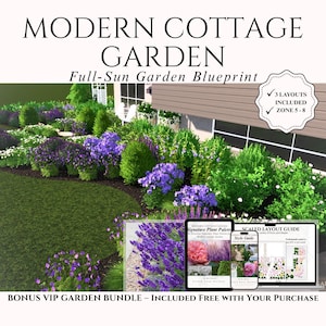 Modern Cottage Garden Landscape Design: Full Sun Hydrangea Flower Bed (Digital Download)