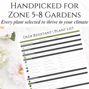 Front Yard Design Landscape Plan Full Sun Garden Layout Deer Resistant Landscape Design Zones 5-8 Garden Blueprint Yard Ideas image 5