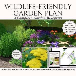 Wildlife Friendly Garden Design Full Sun Front Yard Perennial Landscape Plan Colorful Naturalistic Yarrow Low Maintenance Blueprint