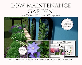 Full Sun-tuinplan: bloembed met weinig onderhoud (digitale download)
