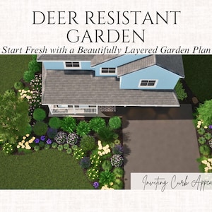 Front Yard Design Landscape Plan Full Sun Garden Layout Deer Resistant Landscape Design Zones 5-8 Garden Blueprint Yard Ideas image 10