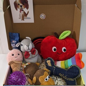 Dog gift box, splash of color gift dog, new puppy gift box , welcome puppy gift dog, puppy gift box, dog birthday gift box, free shipping