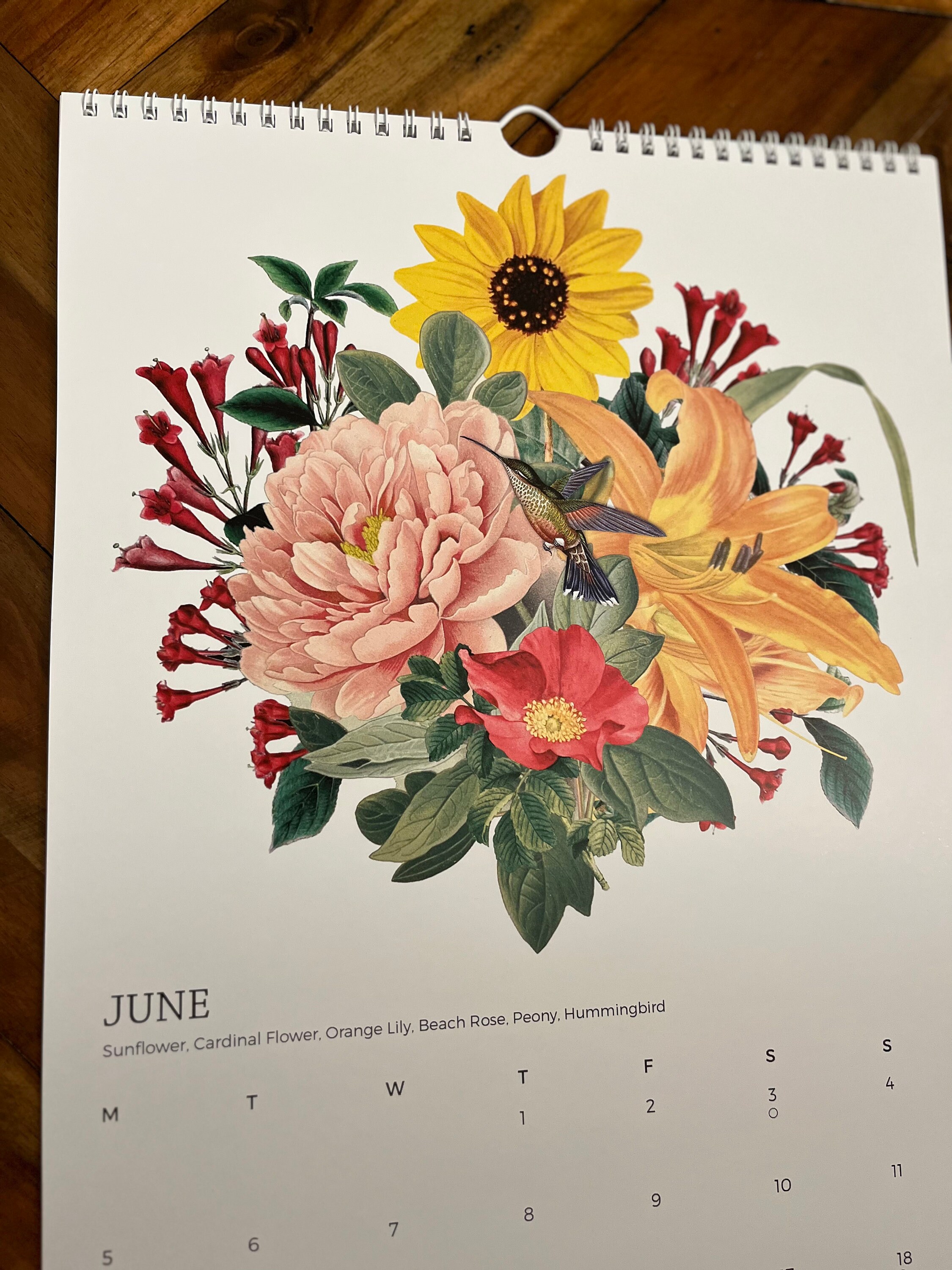 Native Seasonal Plants & Pollinators 2024 Wall Calendar 11x17, Monday