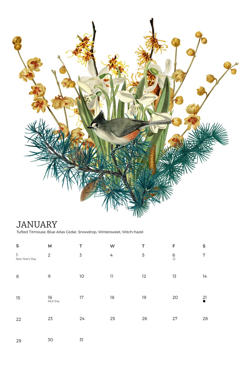 Native Seasonal Plants & Pollinators 2024 Wall Calendar 11x17, Monday