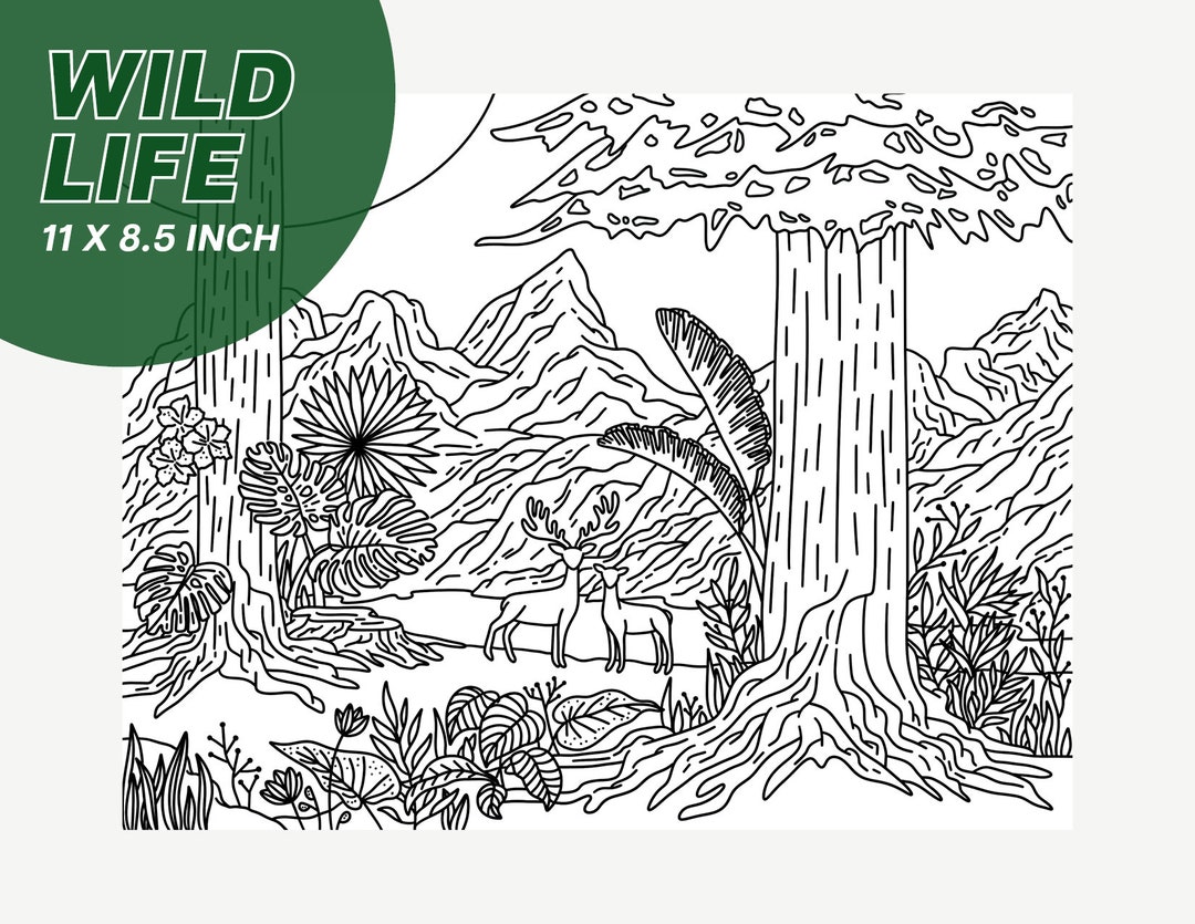 INSTANT DOWNLOAD Wild Life Coloring Page, Printable Coloring Page, Nature, Tropical - Etsy