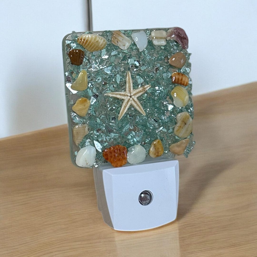 LED Nightlight With Real Ft Lauderdale Shells - Etsy