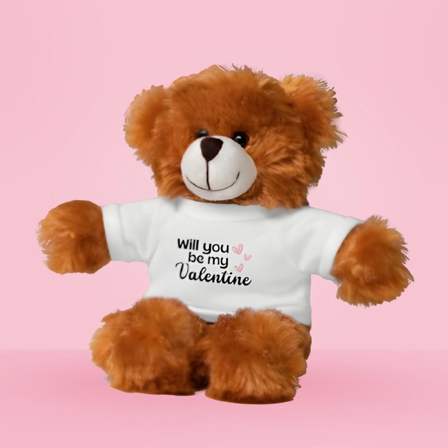 Be my best sale valentine teddy bear