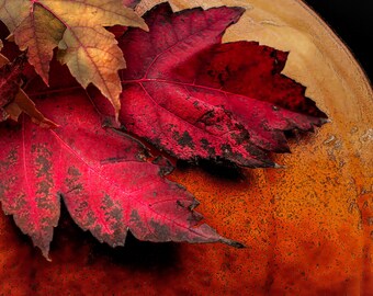 Pumpkin Fall leaves Wall Art: Pumpkin print