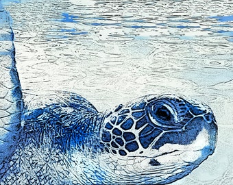 Blue Sea Turtle Wall Art: Turtle print